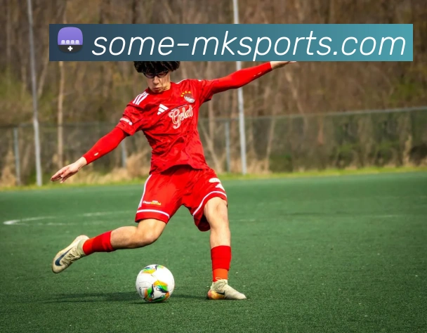 MK体育服务体系